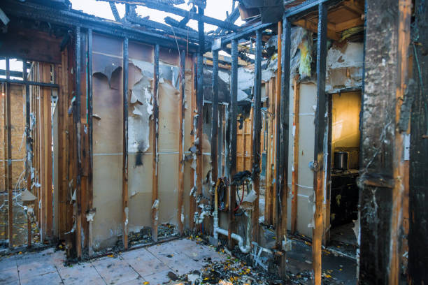 Professional Fire Damage Removal technician working in Andrews, NC